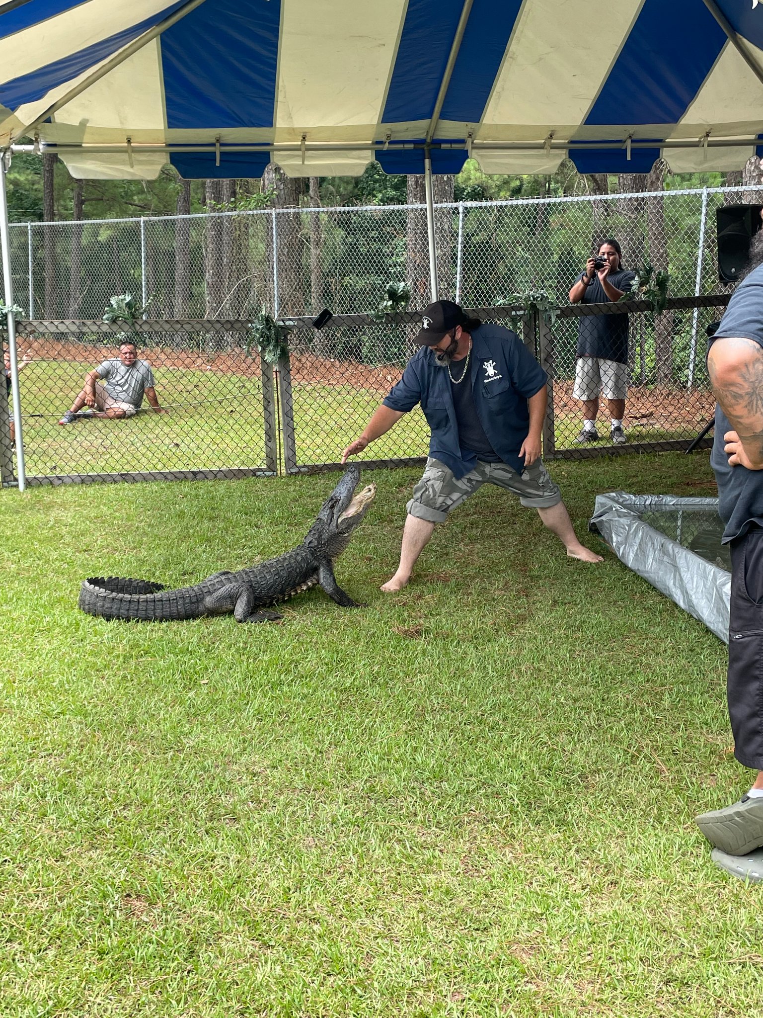 Scales, Tails & Teeth